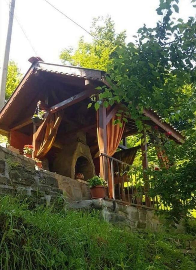Вила Керенски Ribaritsa Dış mekan fotoğraf