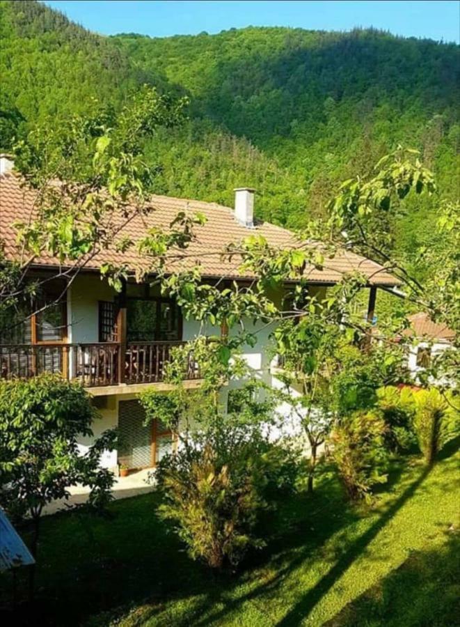 Вила Керенски Ribaritsa Dış mekan fotoğraf