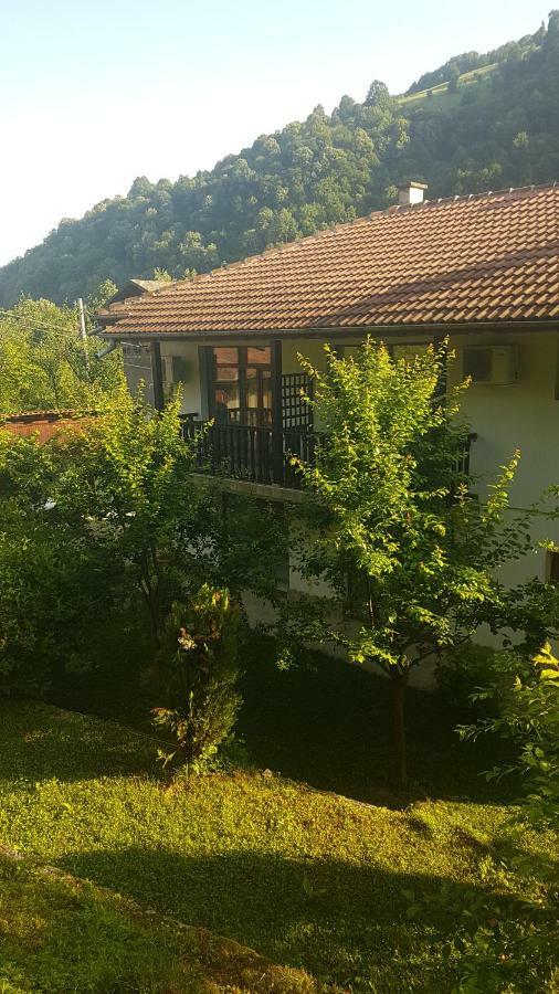Вила Керенски Ribaritsa Dış mekan fotoğraf
