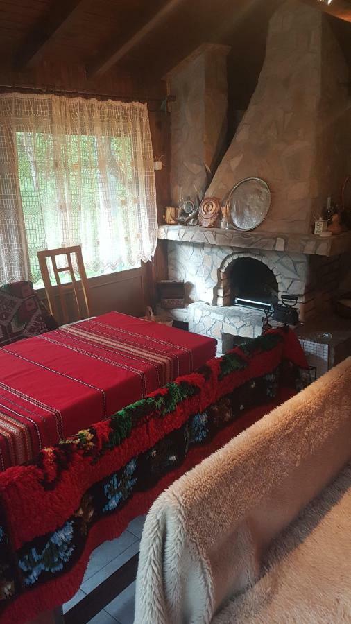 Вила Керенски Ribaritsa Dış mekan fotoğraf