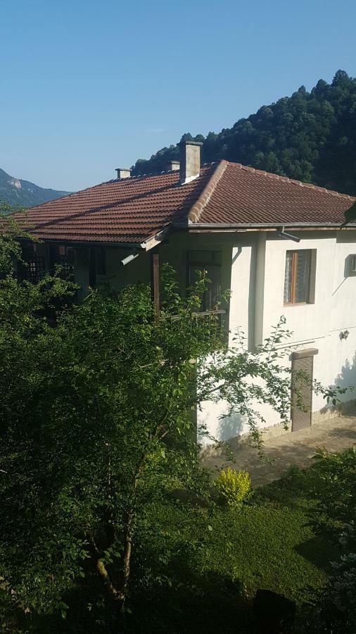 Вила Керенски Ribaritsa Dış mekan fotoğraf